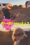 a92cc943abd40ec6b7668585ec9d0954.jpeg